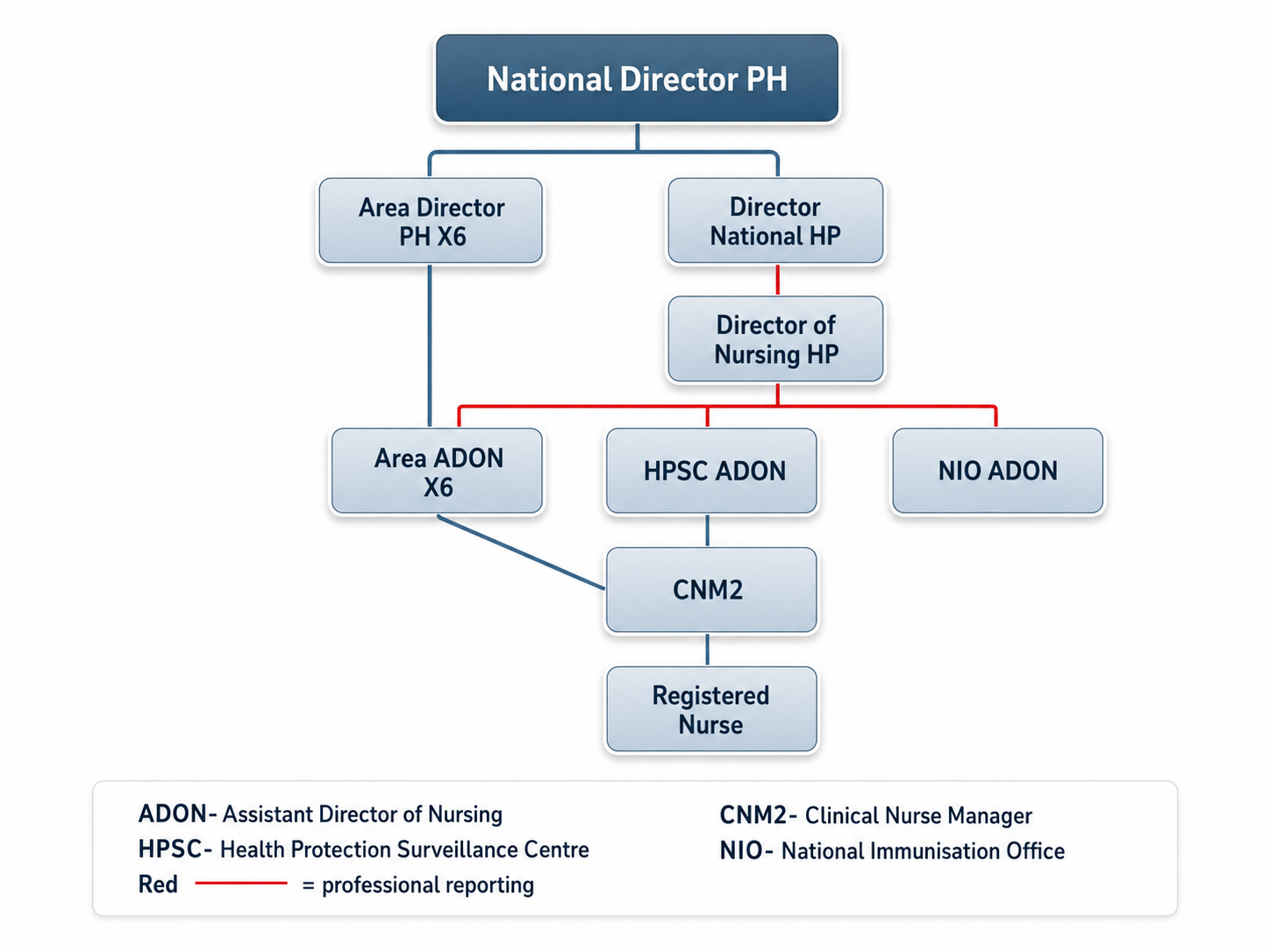 Nursing Governance Organogram